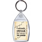 I solemnly swear that I am up to No Good - Keyring