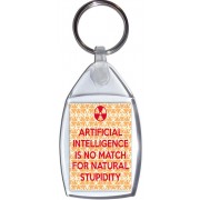 Artificial Intelligence is no Match for Natural Stupidity - Keyring